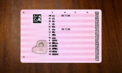 Sweden Driver license PSD Template Download