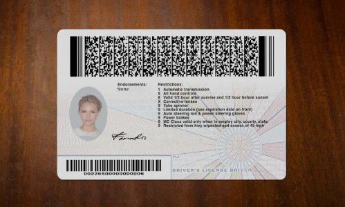 Virginia Driver license PSD Template