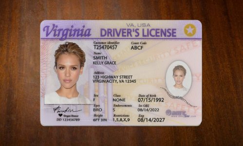 Virginia Driver license PSD Template