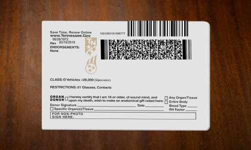 Tennessee Driver license PSD Template