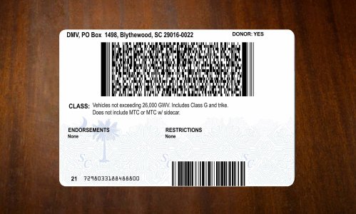 South Carolina Driver license PSD Template
