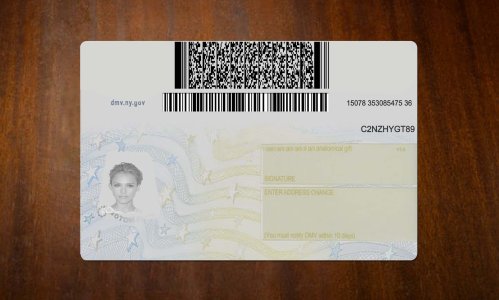 New York Driver license PSD Template