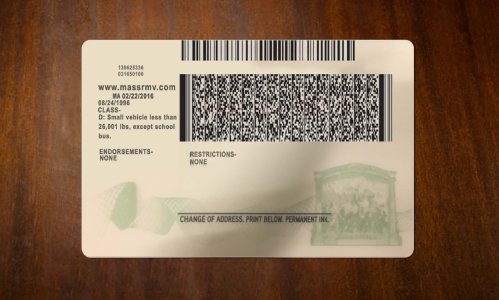 Massachusetts Driver license PSD Template