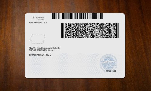 Lowa Driver license PSD Template