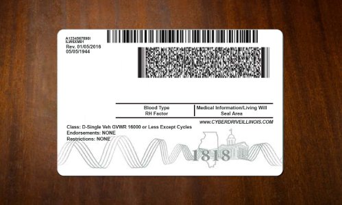Illinois Driver license PSD Template