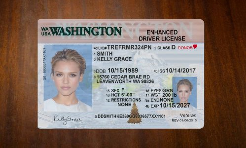 Washington Driver license PSD Template