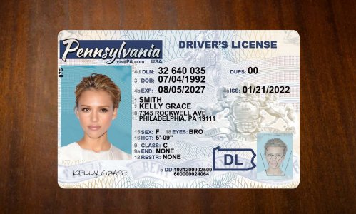 Pennsylvania Driver license PSD Template