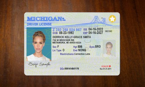 Michigan Driver license PSD Template