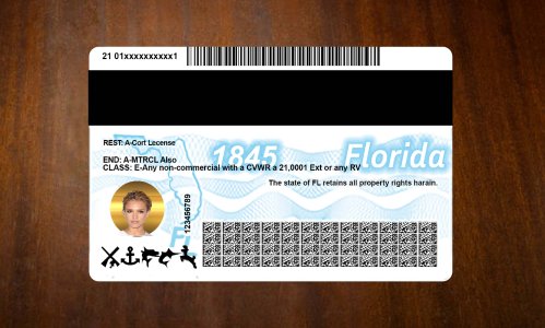 Florida Driver license PSD Template