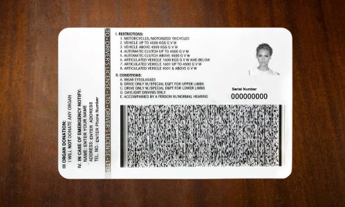 Phipplines Driver license PSD Template