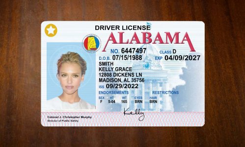 Alabama Driver license PSD Template