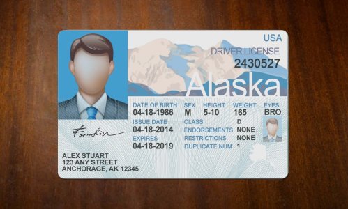 Alaska Old Driver license PSD Template Free Download