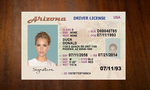 Arizona Old Driving license PSD Template Download