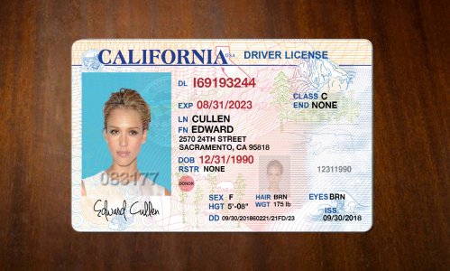 California Old Driving license PSD Free Download